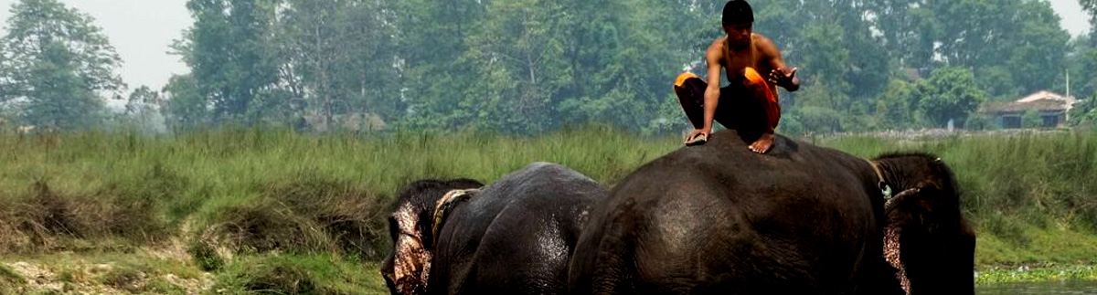 Featured Image - Jungle Safari Package (3nights 4days)